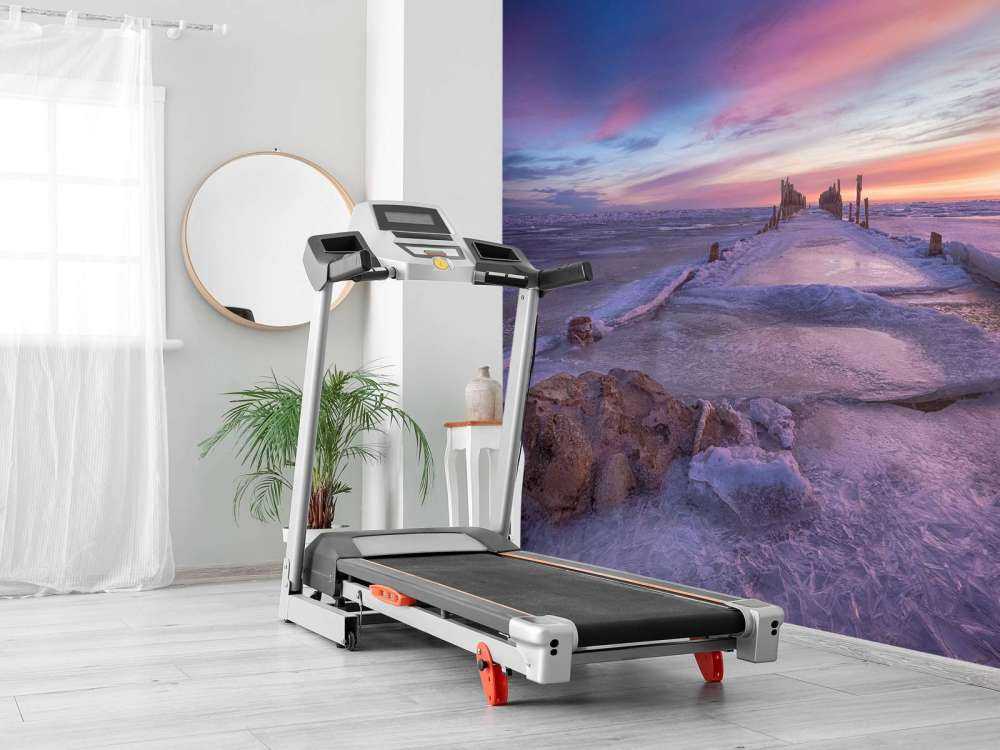 Heads of poles on the frozen Baltic Sea