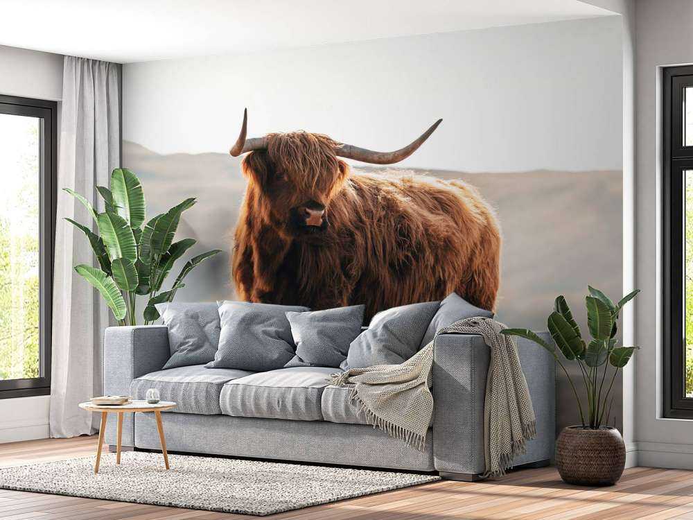 Scottish highlander on a hill