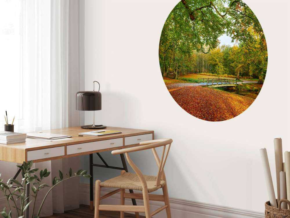 Bridge in the large forest