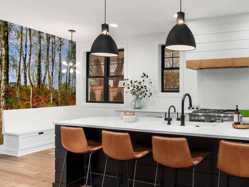 Birches with coloured ferns