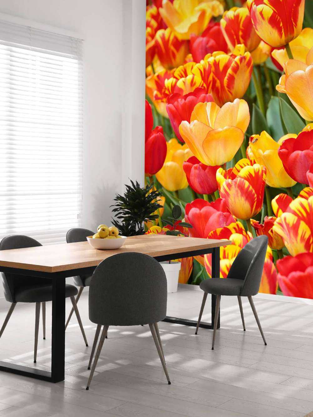 Coloured Tulips