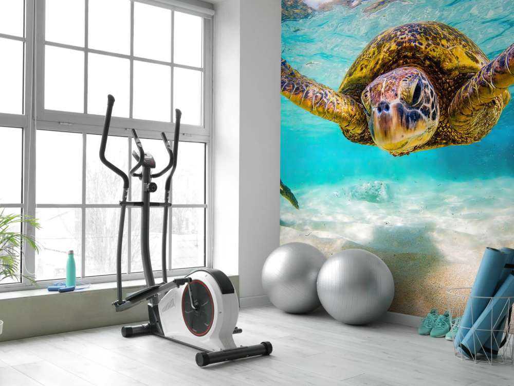 Sea turtle in the ocean