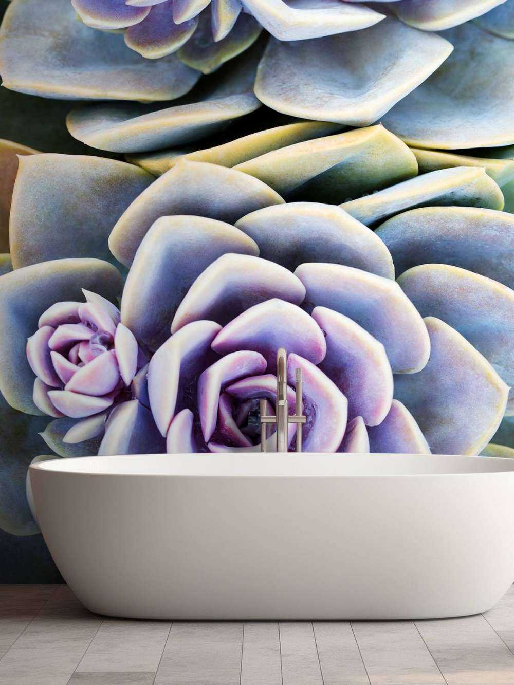 Succulents
