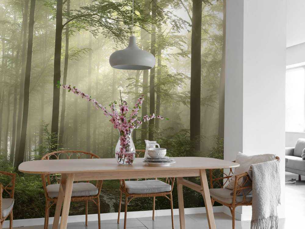 Green forest in the fog