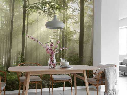 Green forest in the fog