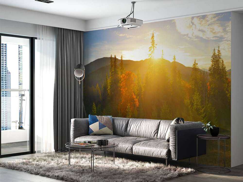 Pine forest panorama