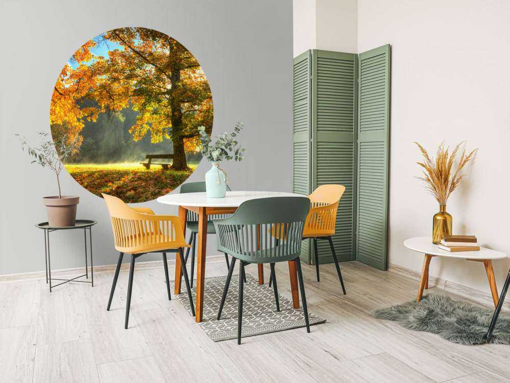 Tree in autumn colours