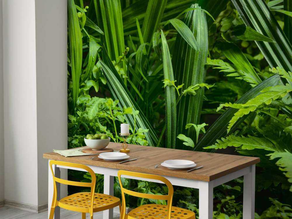 Panorama with plants