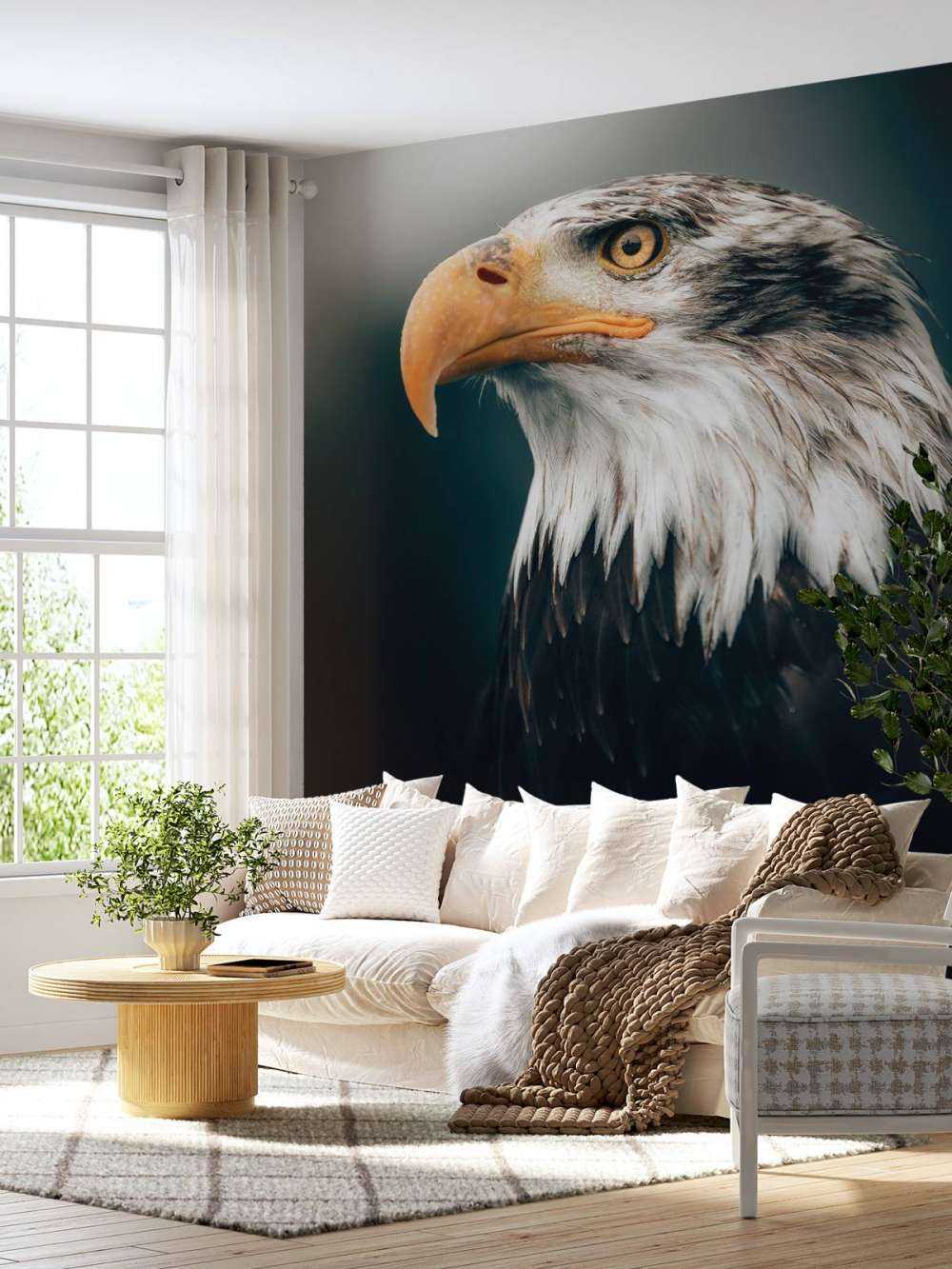 Close-up sea eagle