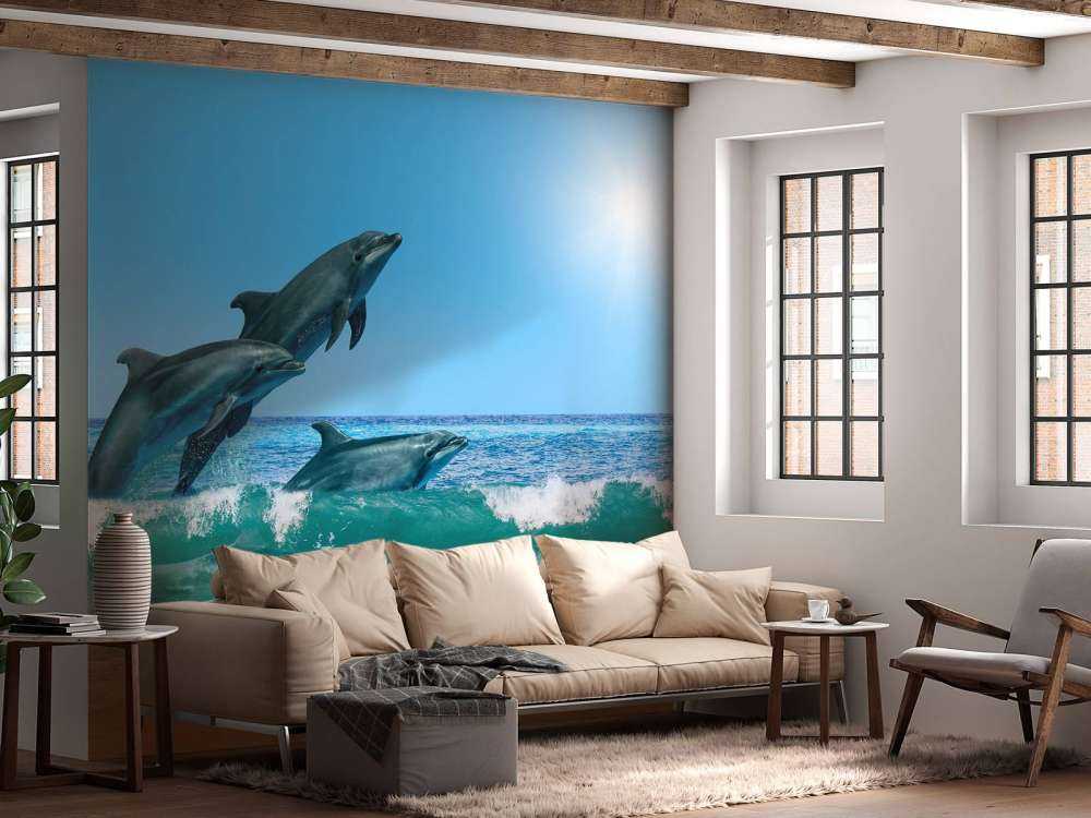 Dolphins at the coast