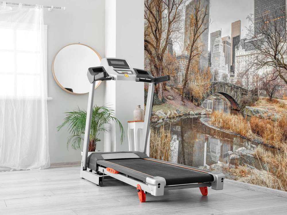 Central park in winter