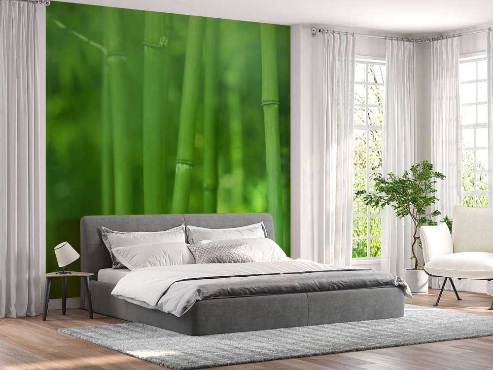 Bamboo and leaves