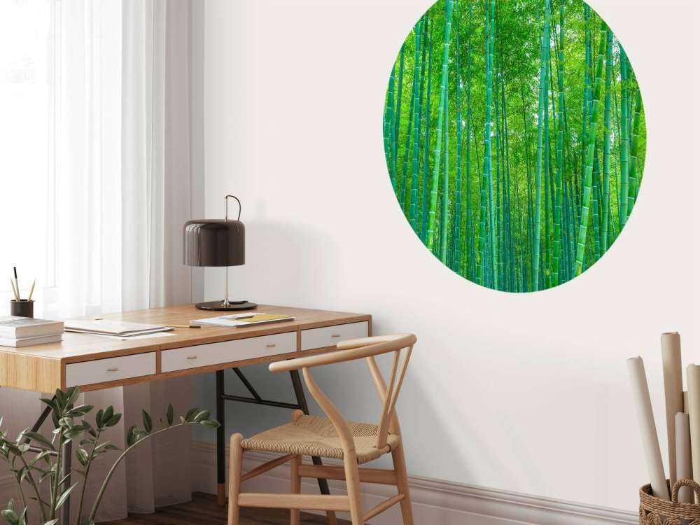 A green bamboo forest