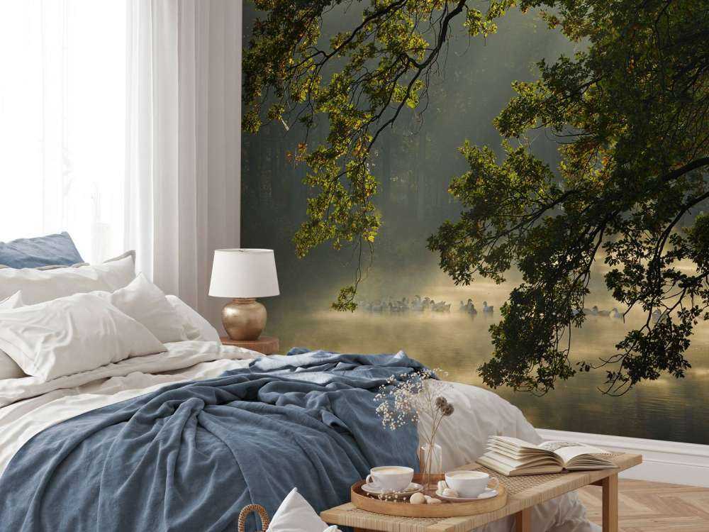 Overhanging branches above the water