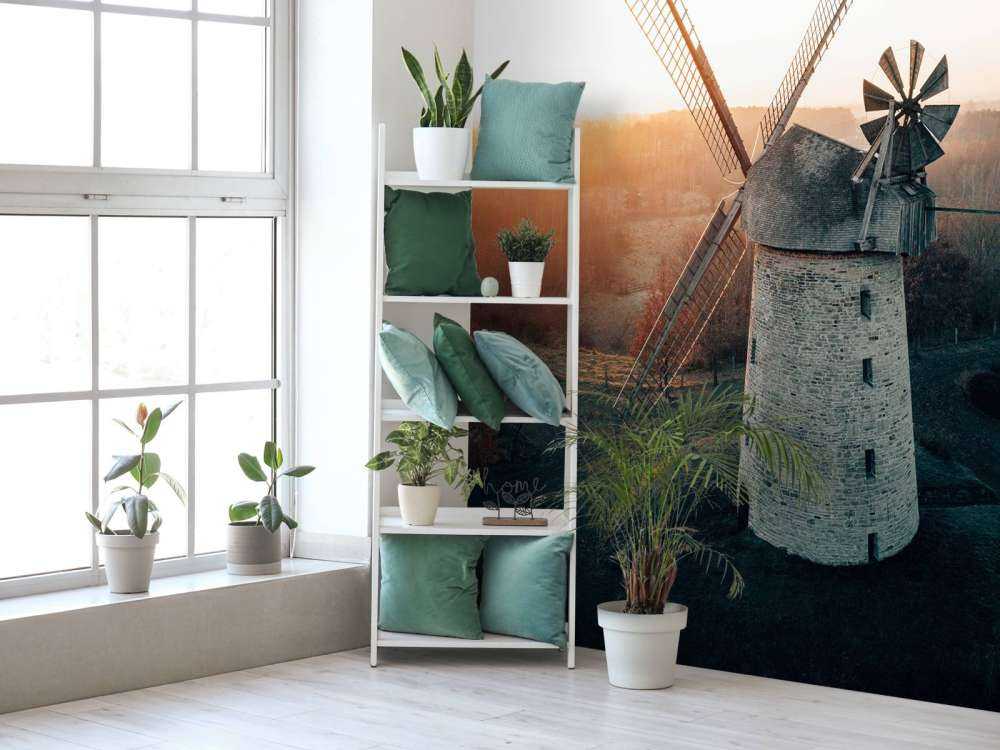 Windmill in beautiful light at sunset