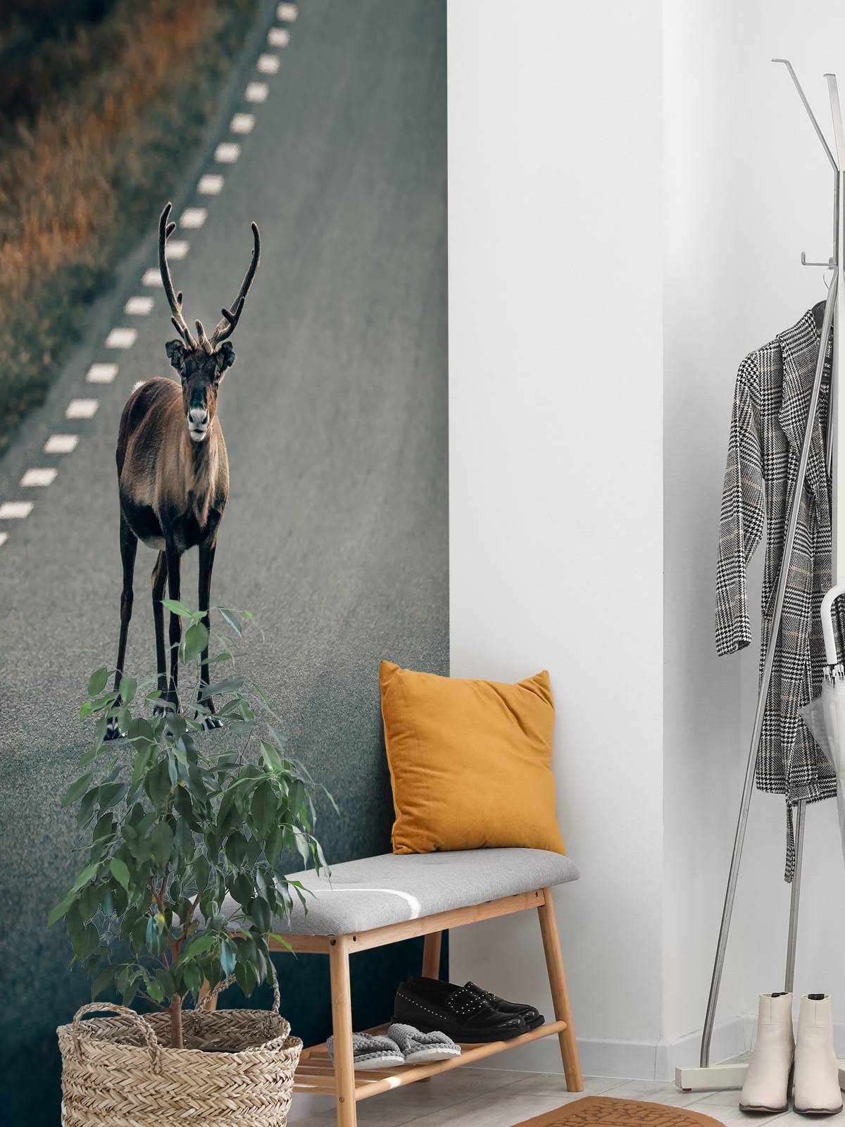 Reindeer on the road