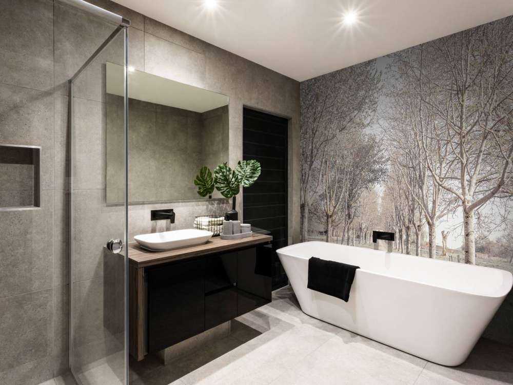 Path between the trees