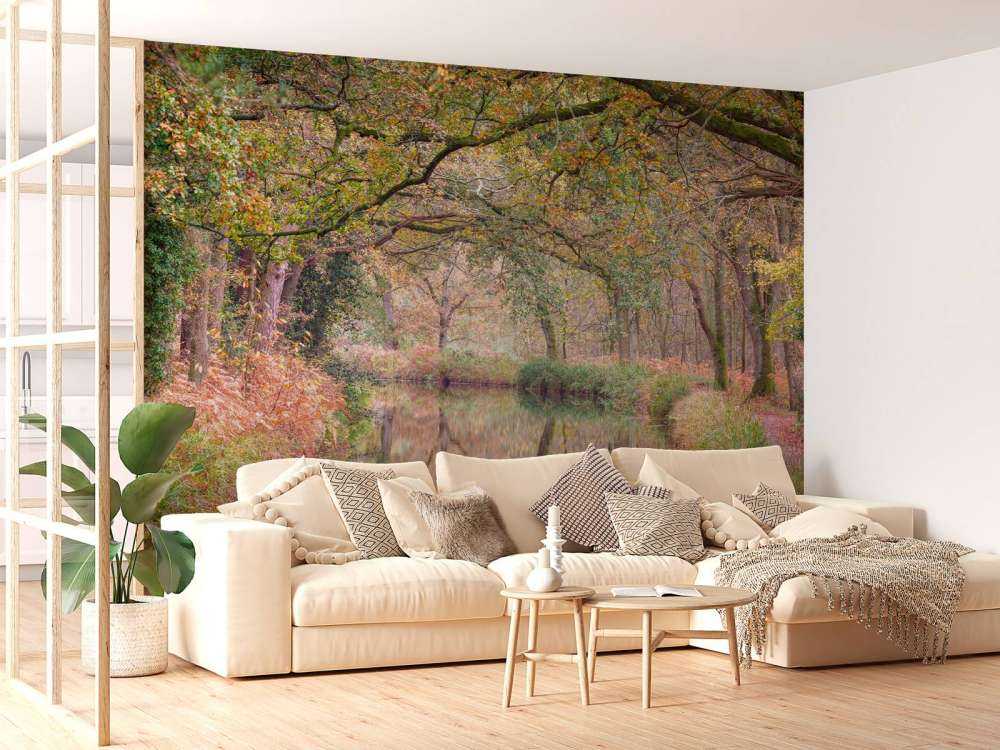 Covered colorful forest