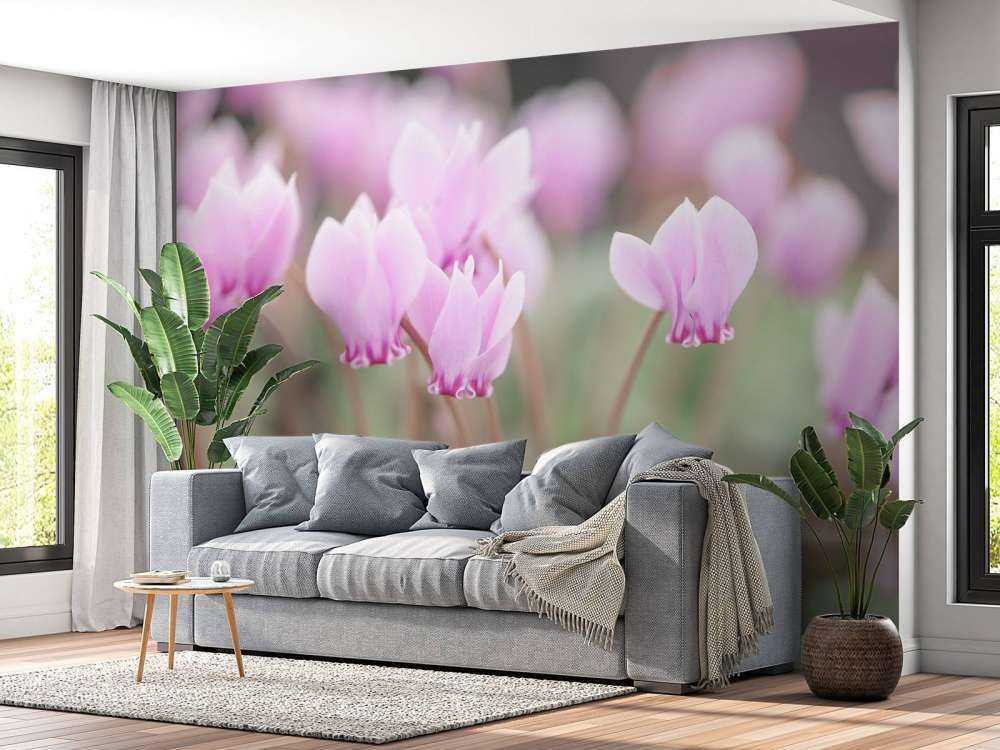 Beautiful ivy flowers