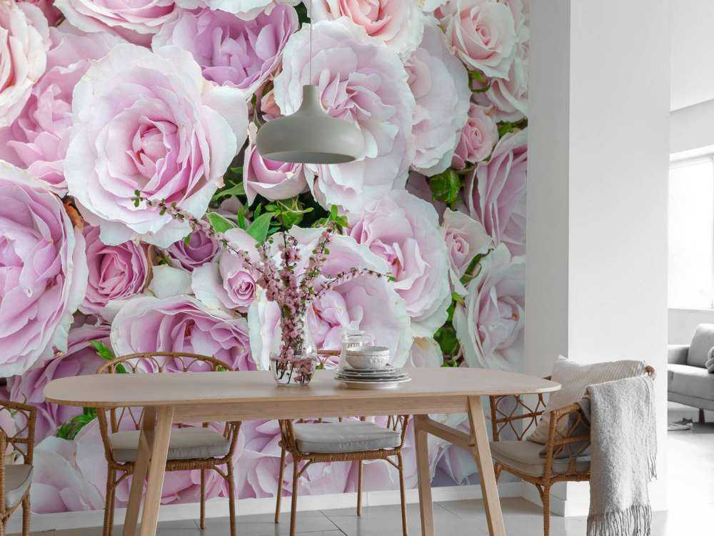 Colorful white and pink roses