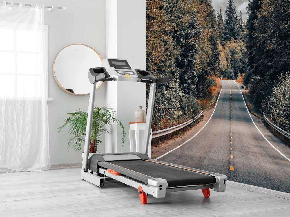 Forest along an American road