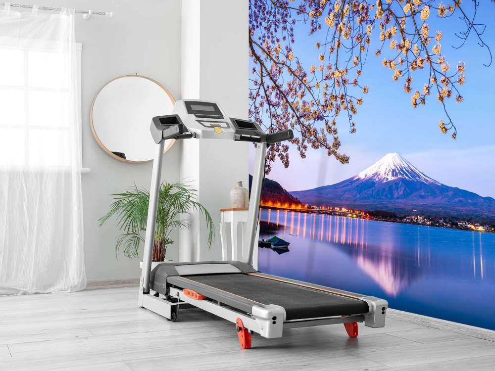 Mount Fuji by the water