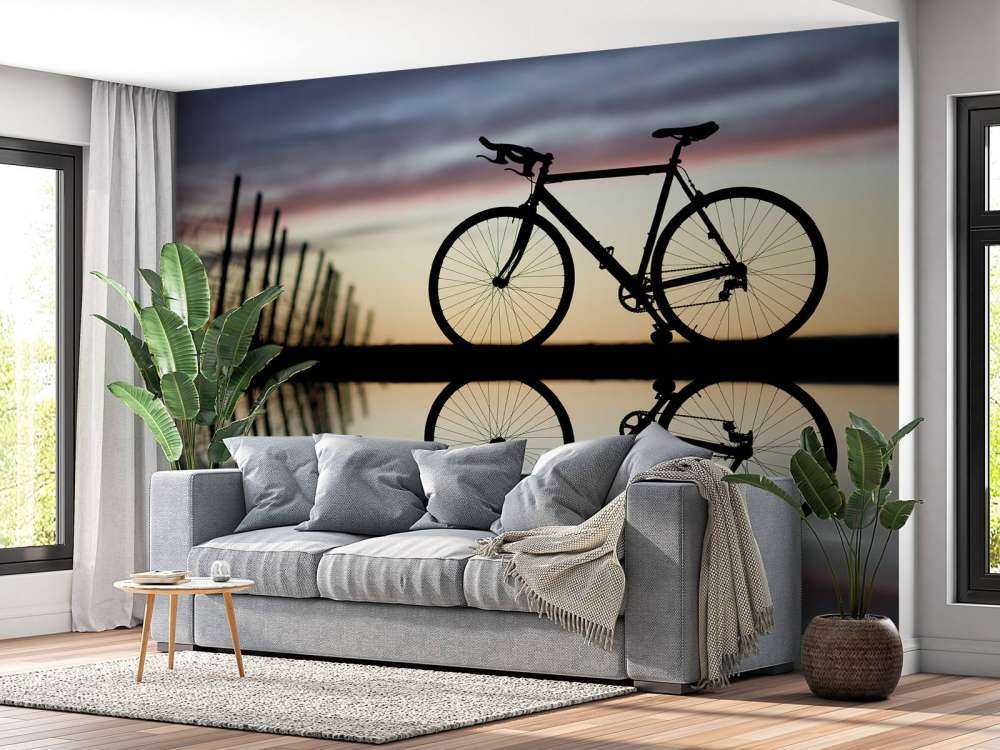 Racing bike at sunset