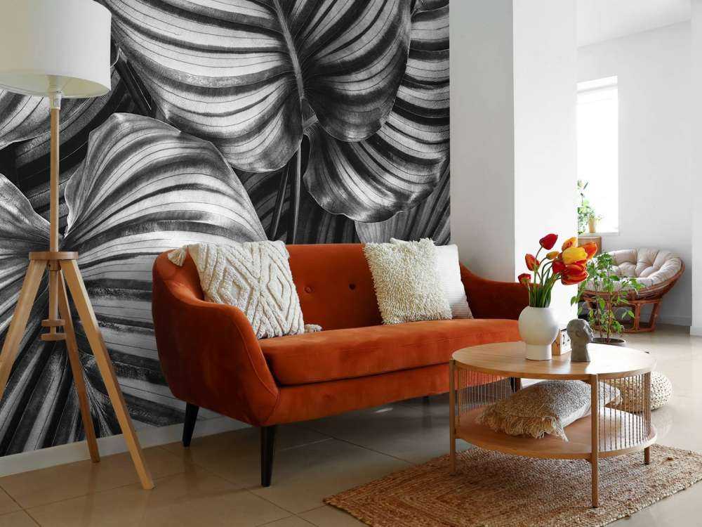 Plant with striped leaves