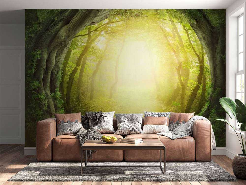 Stone path through forest