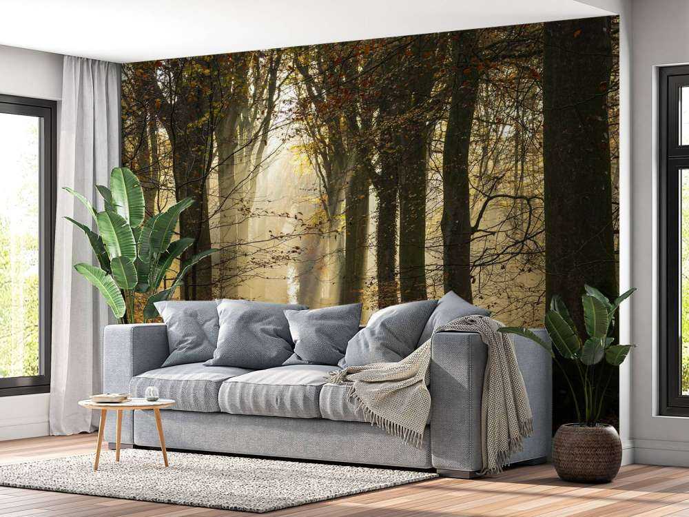 The forest of Crécy