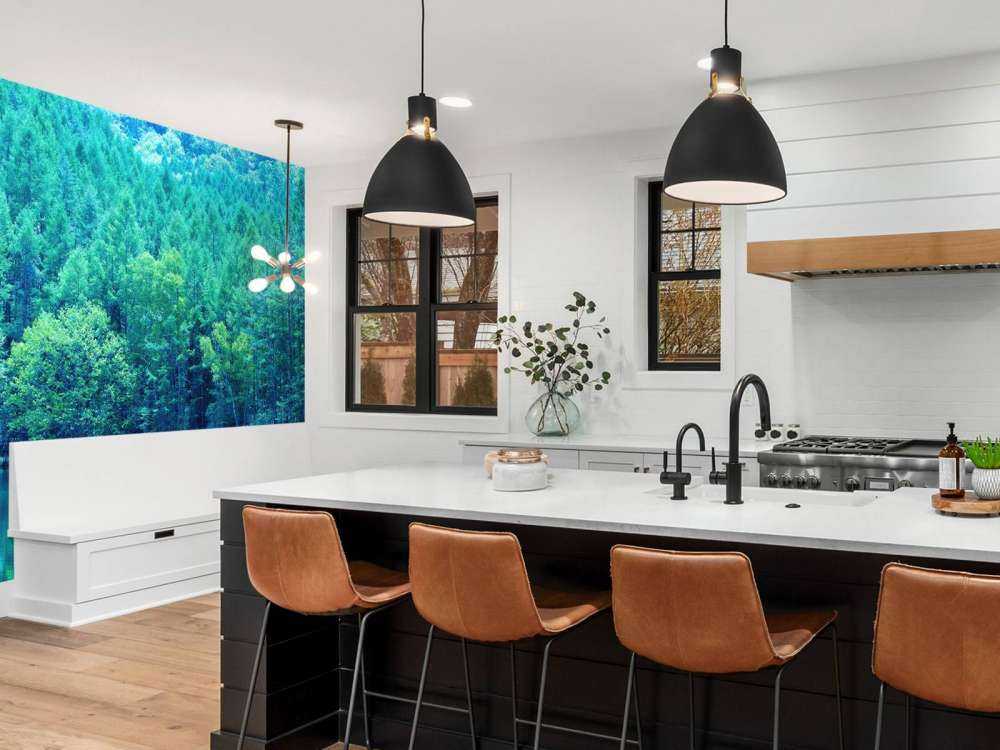 Lake in the green forest