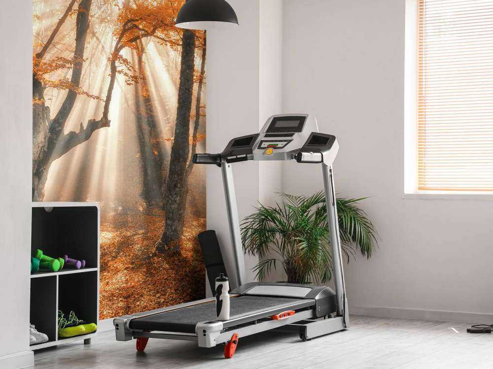 Magical Autumn Forest