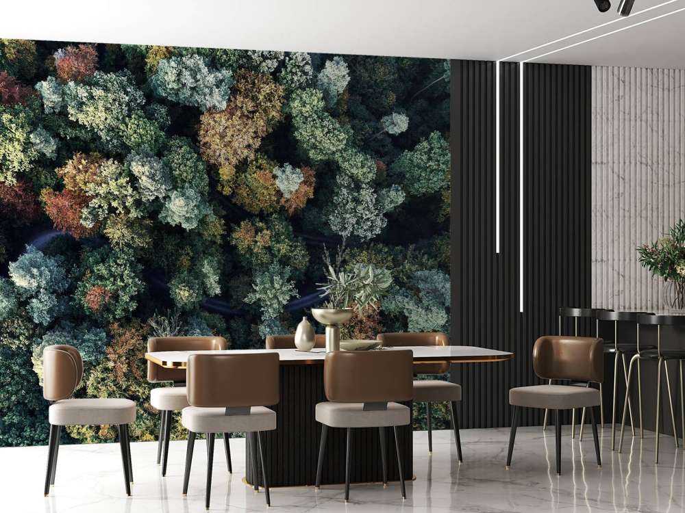 Autumn forest from above