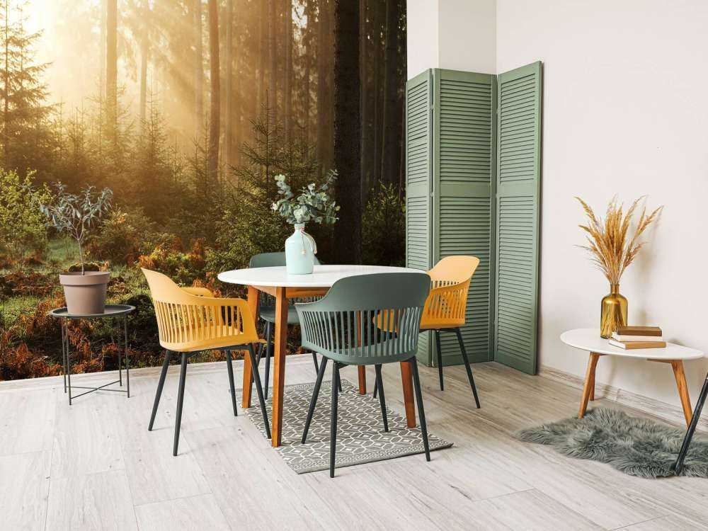 Sunbeams through forest