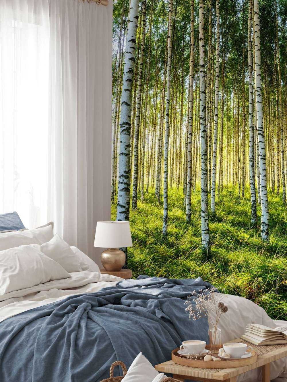 Summer birch forest
