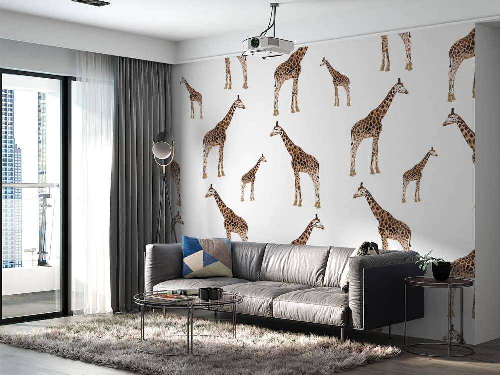 Giraffes