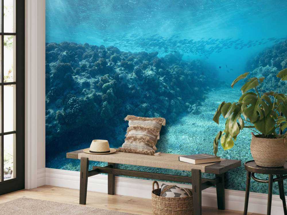 Underwater world with coral