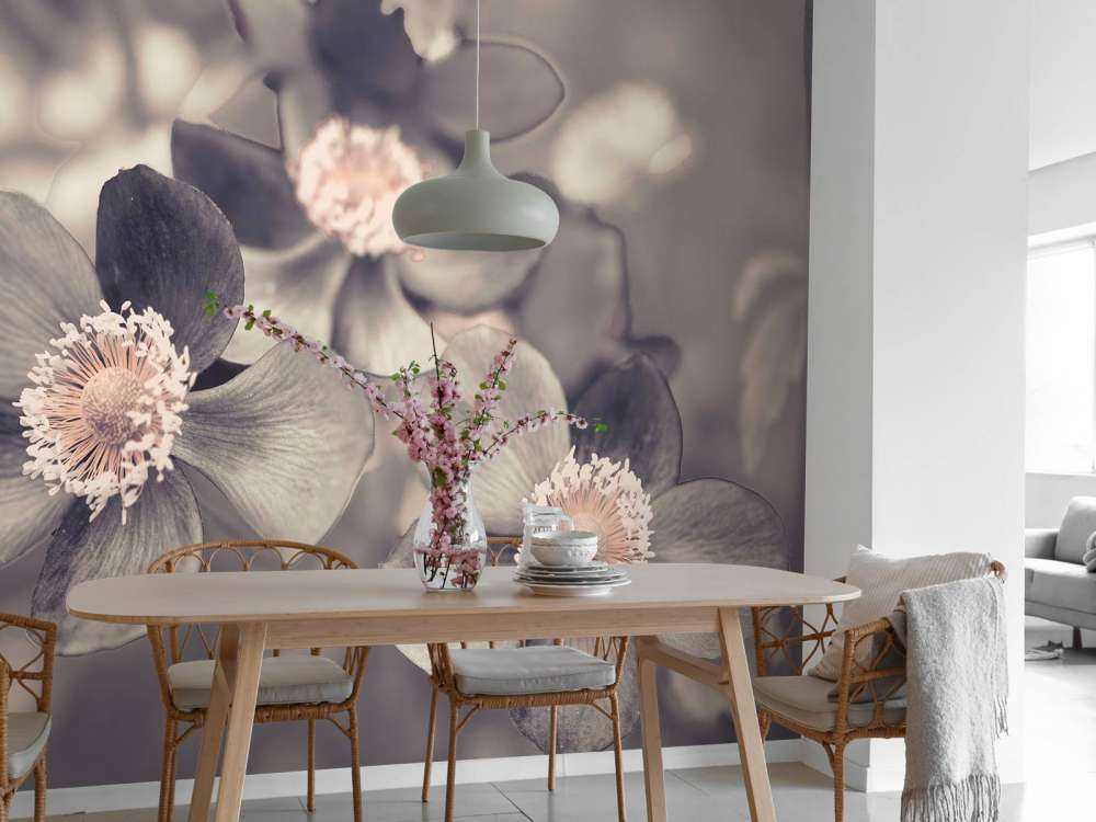 Anemone flower
