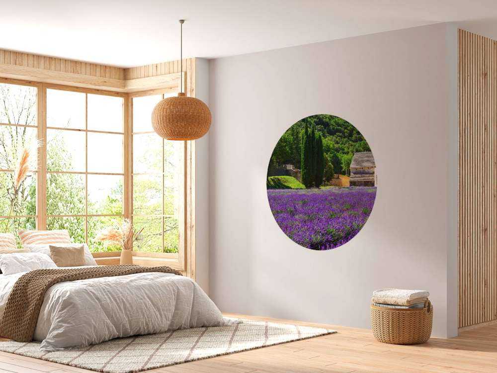 Fairy lavender field
