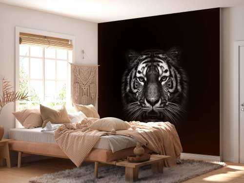 Dark Tiger