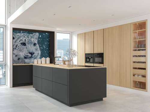 Snow leopard