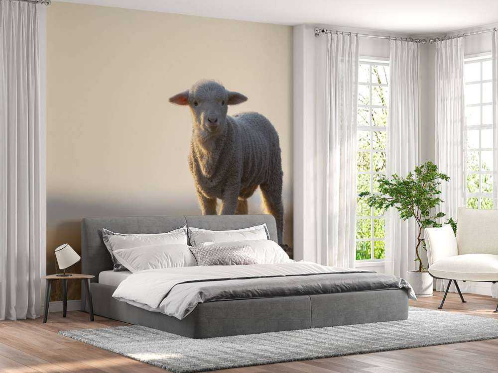 Lamb