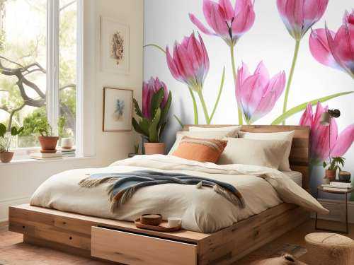 Tulip blush