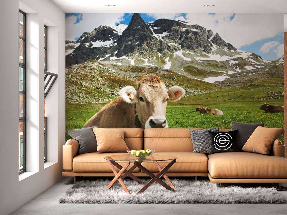 Austrian cow