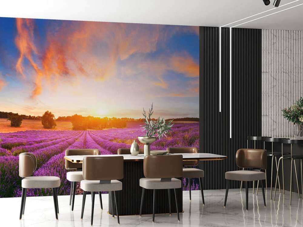 Field of Lavender