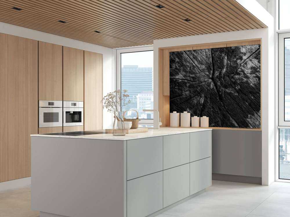 Zwart-witte boomstronk