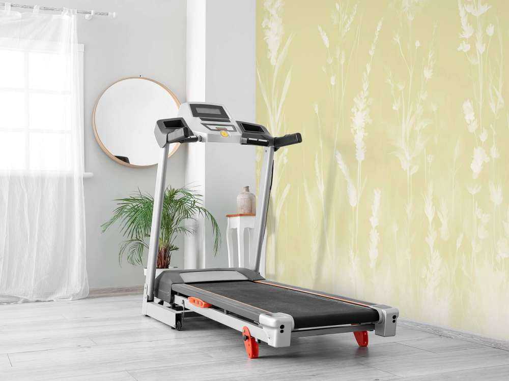 Lavender Glade Seamless Pearl Gray