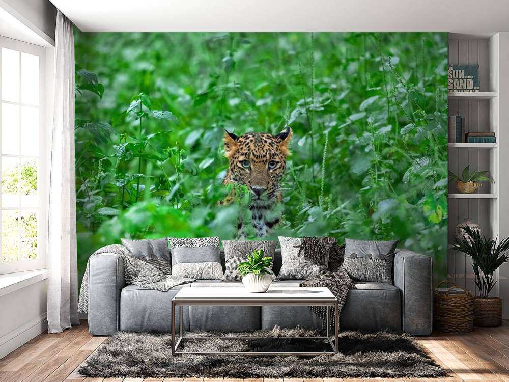 Leopard in the forest