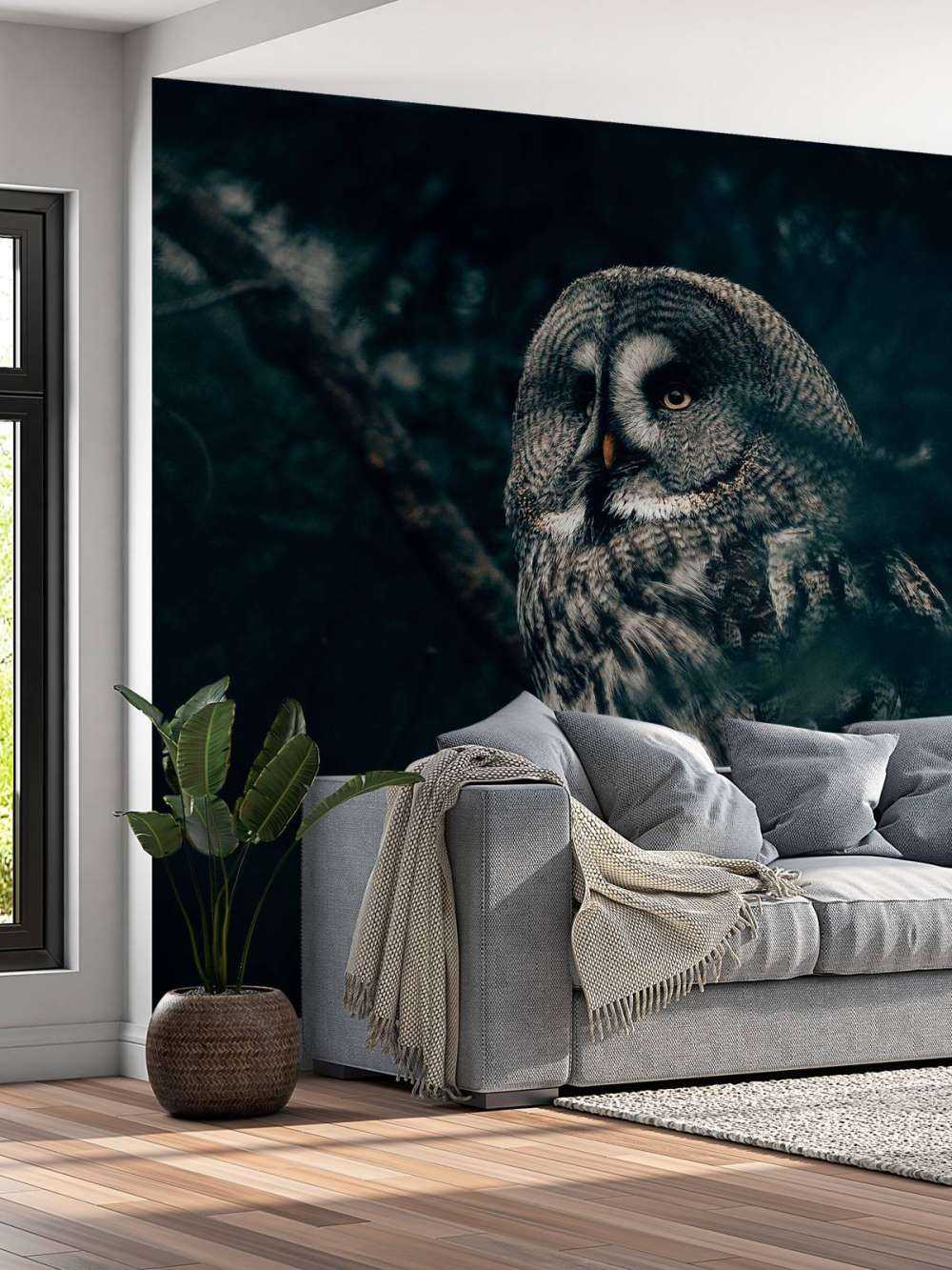 Owl in tree