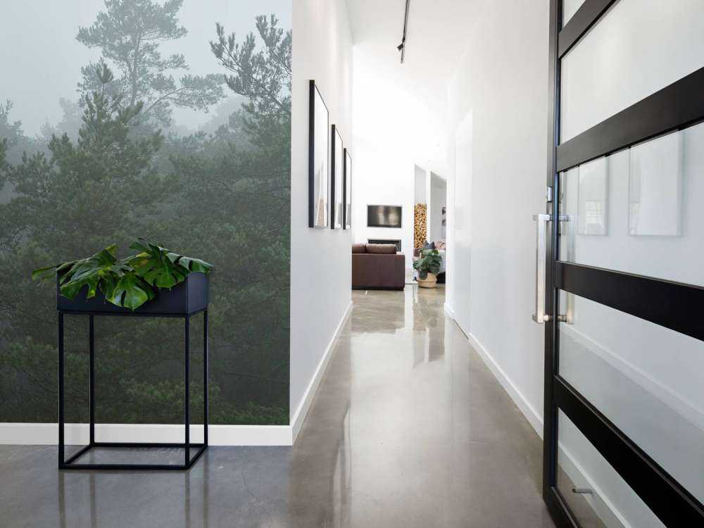 Naaldbomen in de mist